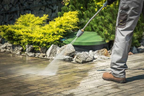 Best Restaurant Pressure Washing  in Palm River Clair Mel, FL